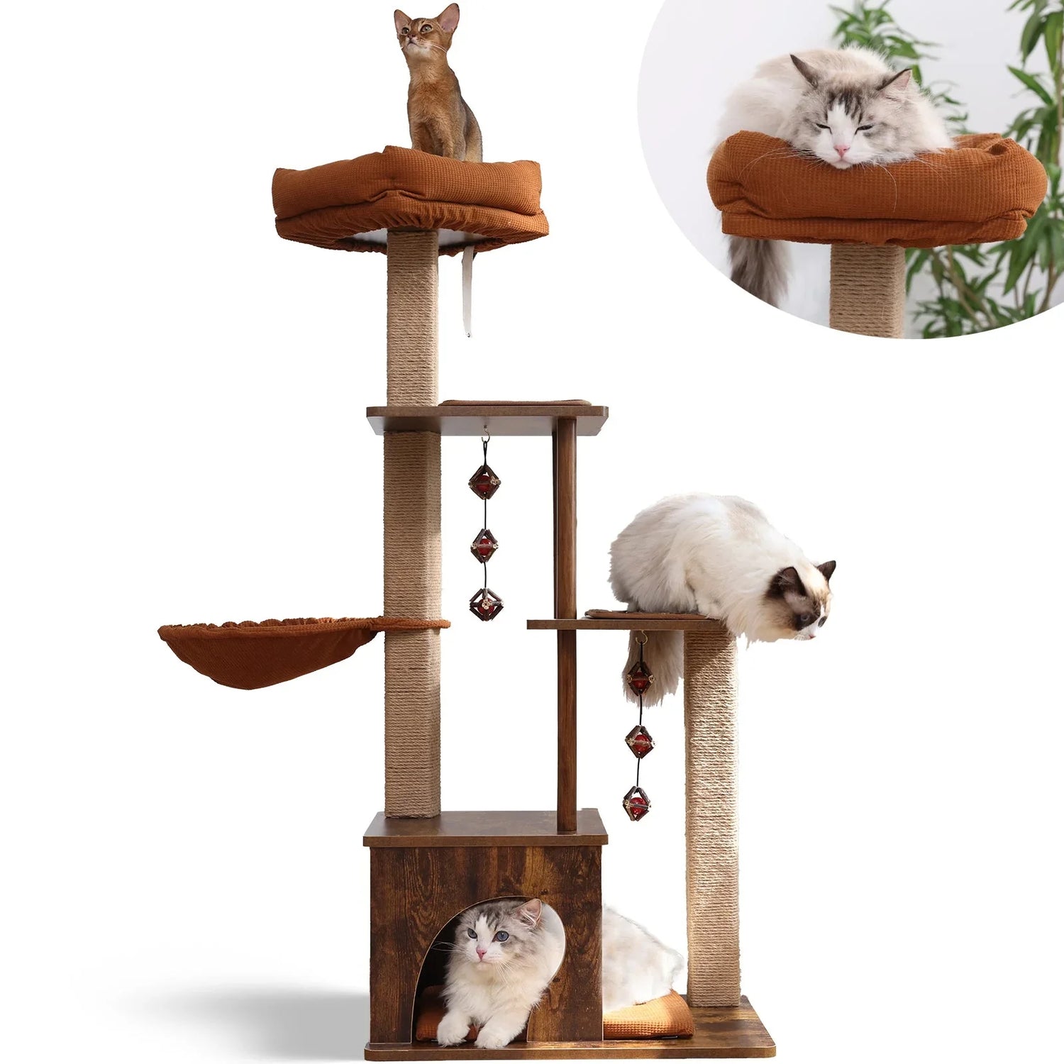 Cat Tree's