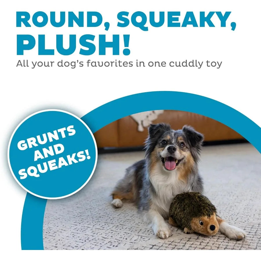 Hedgehogz Plush Dog Toy Medium