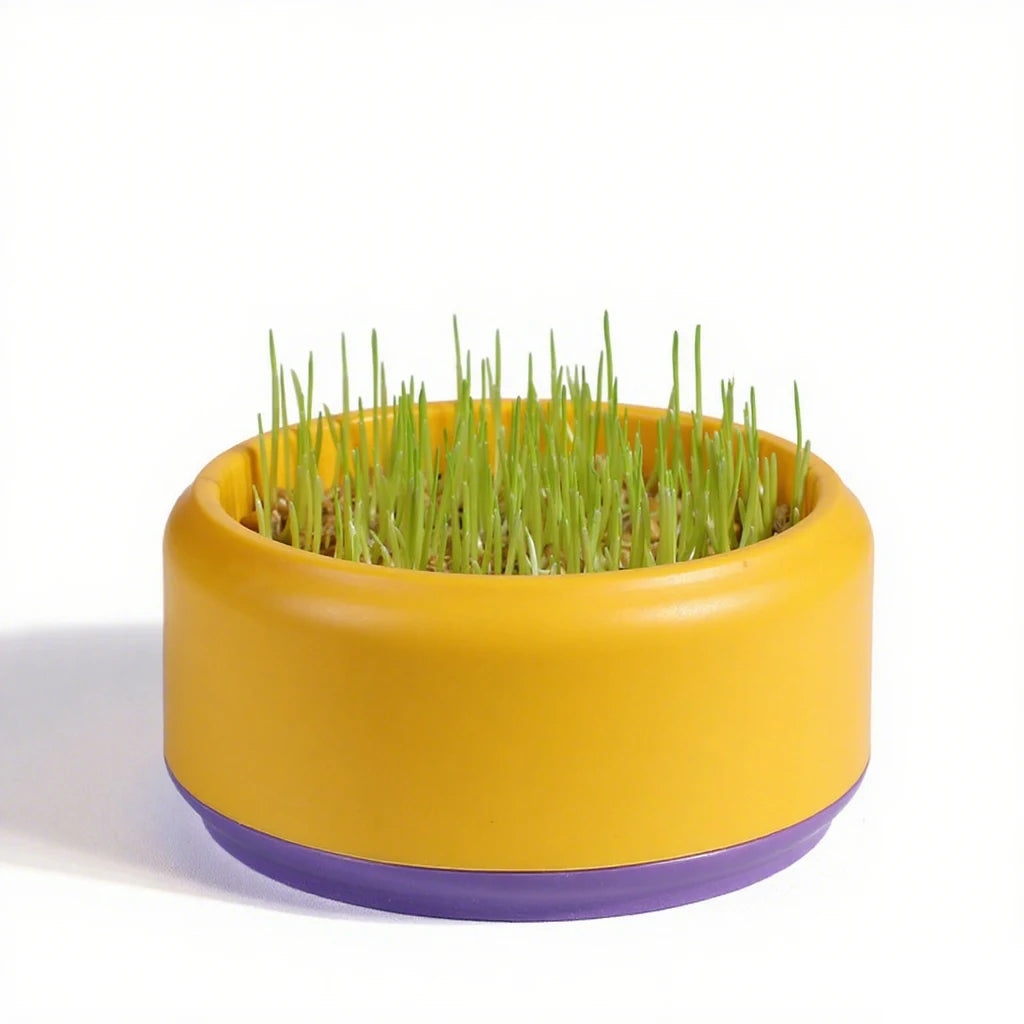 Catnip Hydroponic Box Cat Snacks Natural Hairball - Removing Cat Grass Pot