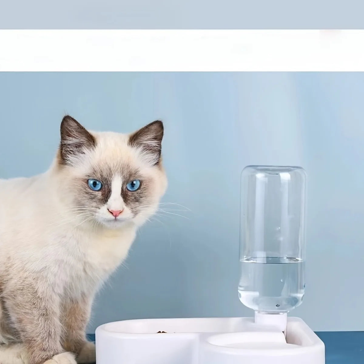 Pet Food and Water Bowl Combo Automatic Water Dispenser Anti-Spill Corner Design Plastic for Cats No Battery