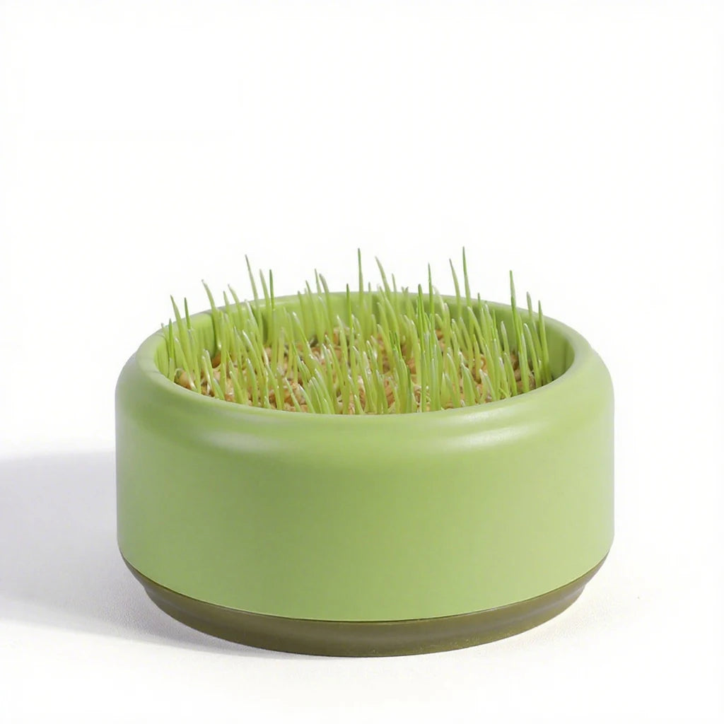 Catnip Hydroponic Box Cat Snacks Natural Hairball - Removing Cat Grass Pot