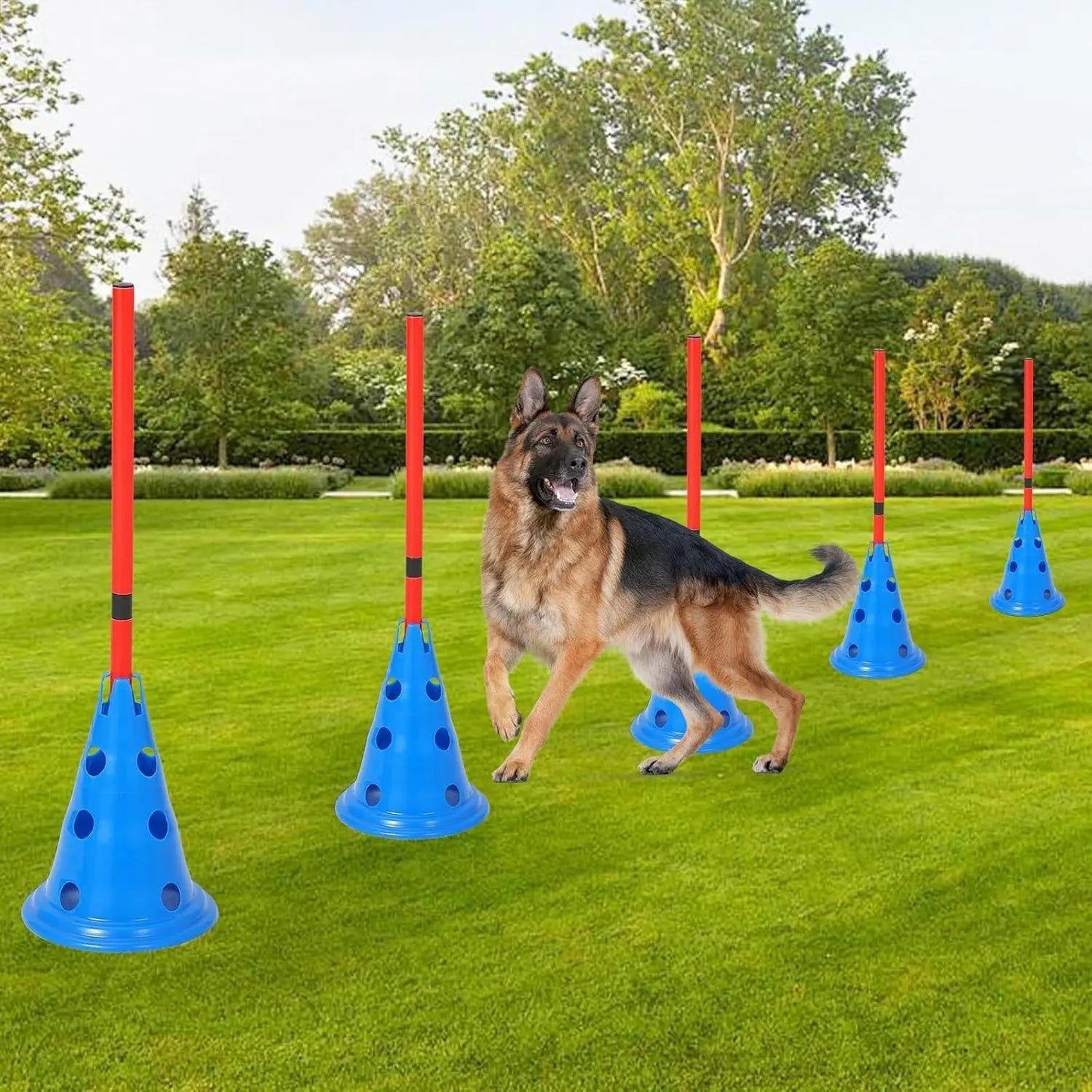 Dog Agility Hurdle Cone Set Dog Agility Course Set with 12 Cones 6 Rods Dog Agile Training Equipment for Outdoor Backyard
