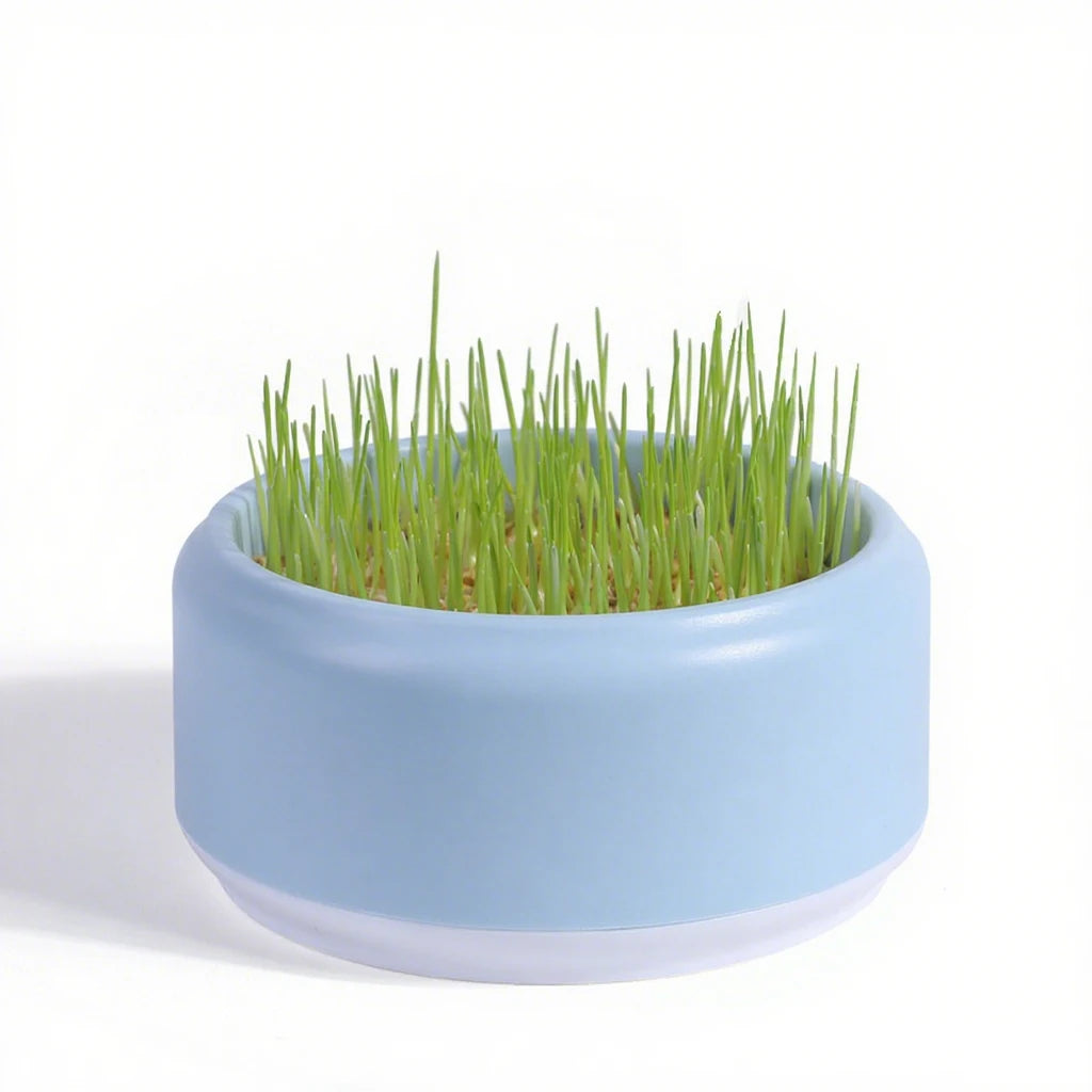 Catnip Hydroponic Box Cat Snacks Natural Hairball - Removing Cat Grass Pot