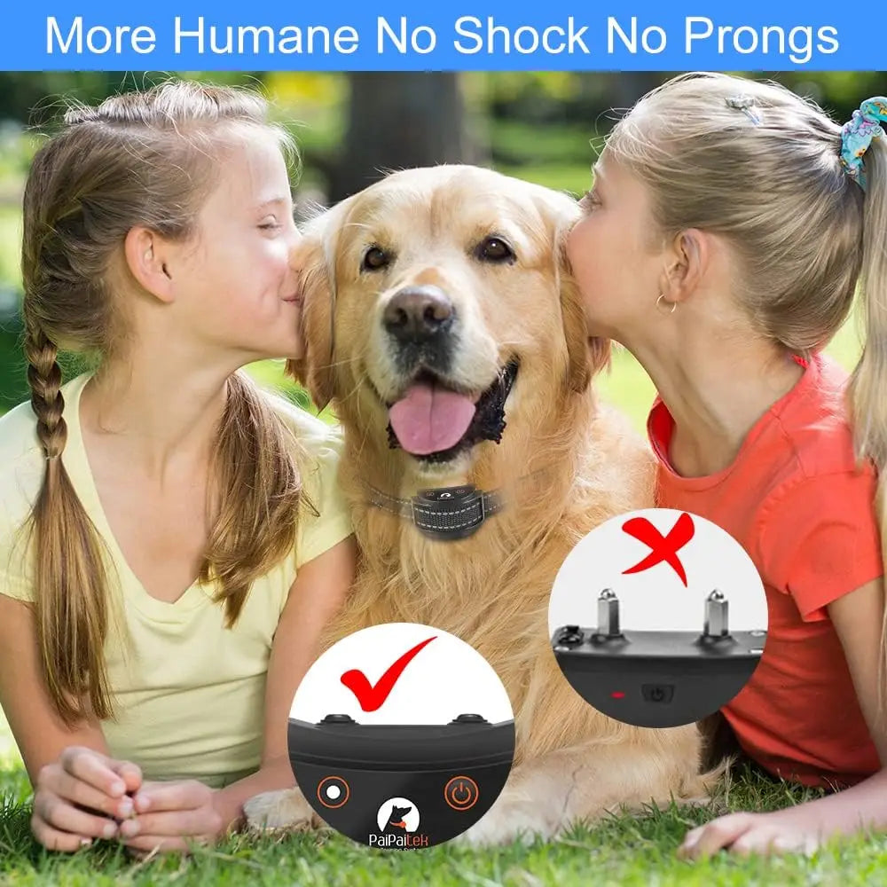 No Shock Dog Training Collar with Remote,1600ft Rechargeable Vibration Collar for 5-150lbs Dogs, Waterproof Electric Collar